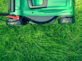 lawn