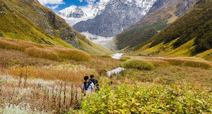 valley of flowers