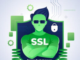 Find Out Everything You Can Know About an SSL Certificate