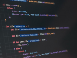 Best Rust Coder