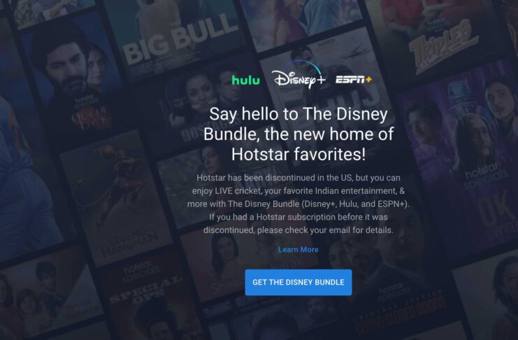 Disney's New Streaming Service