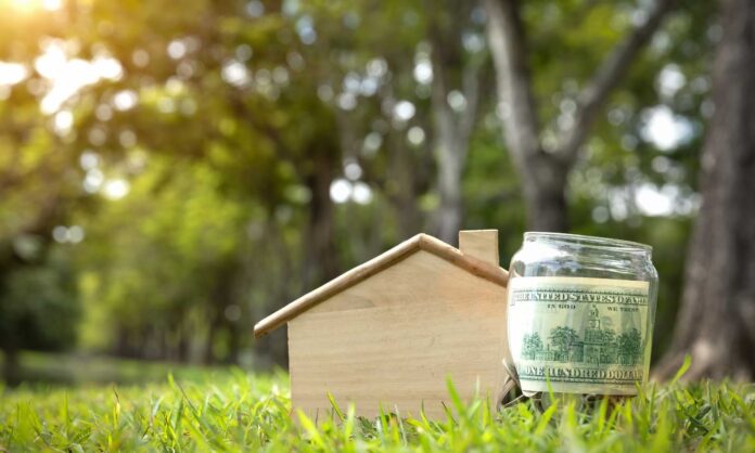 Let Property Campaign: HMRC After Receiving Voluntary Disclosure
