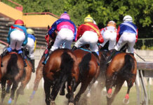 More Than Half of Australians Not Interested in Melbourne Cup More Than Half of Australians Not Interested in Melbourne Cup