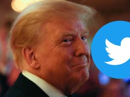 Apptopia Trump Twitter Twitterkantrowitz Bigtechnology