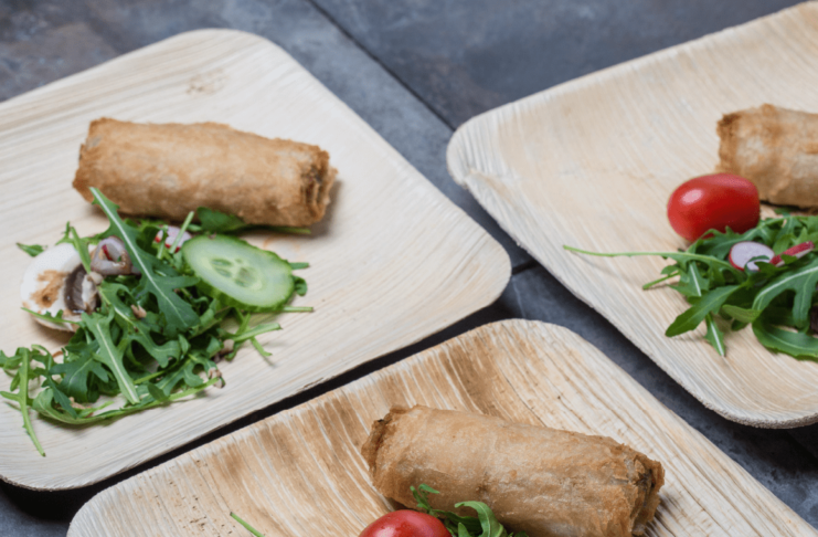 Eco-friendly Tableware