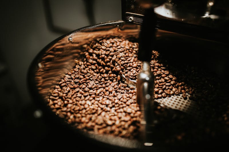 Coffee World Navigation: From Bean to Cup