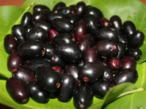 Jamun: A Sweet Ally for Monsoon Weight Loss