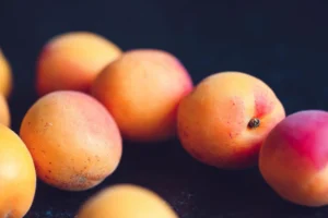 Plums: Monsoon Munching for Weight Loss
