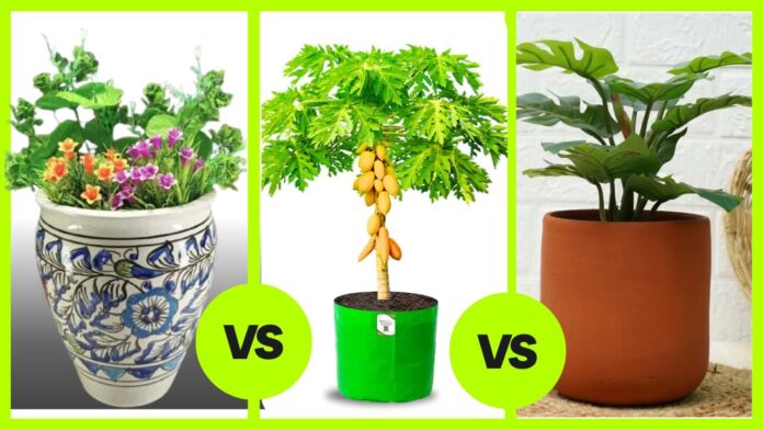 Grow bags vs ceramic vs Terracotta pots