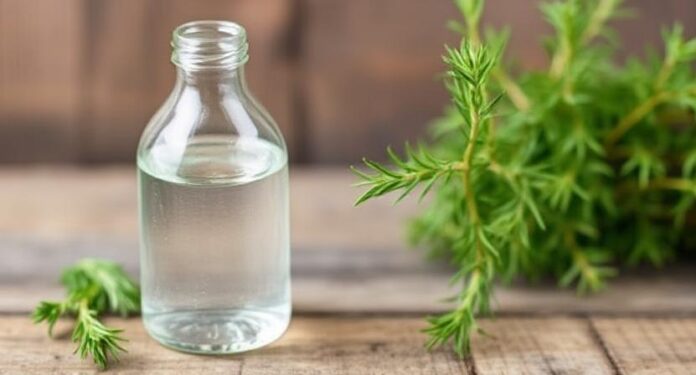 Rosemary Water to Grow Hair