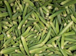 Okra Companion Plants