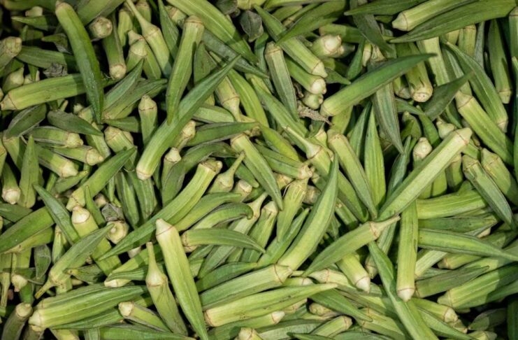 Okra Companion Plants