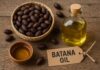 How BATANA Oil Is Extracted from the Nuts of a Palm Tree: A Traditional Treasure Revealed How BATANA Oil Is Extracted